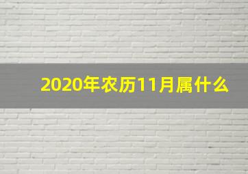 2020年农历11月属什么