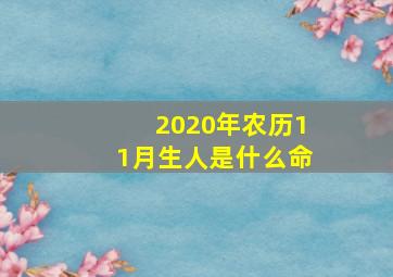 2020年农历11月生人是什么命