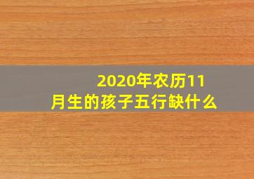 2020年农历11月生的孩子五行缺什么