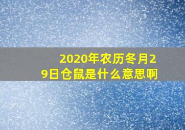 2020年农历冬月29日仓鼠是什么意思啊