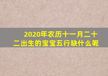 2020年农历十一月二十二出生的宝宝五行缺什么呢