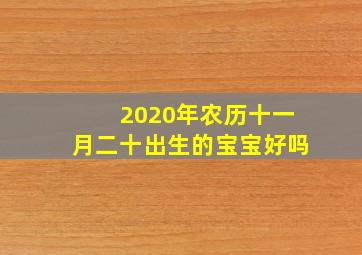 2020年农历十一月二十出生的宝宝好吗