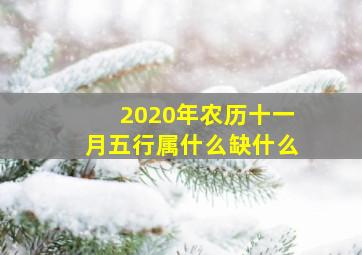 2020年农历十一月五行属什么缺什么