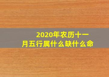 2020年农历十一月五行属什么缺什么命