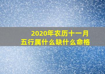 2020年农历十一月五行属什么缺什么命格