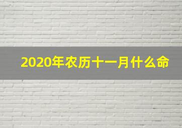 2020年农历十一月什么命