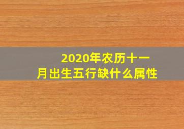 2020年农历十一月出生五行缺什么属性