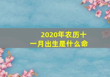 2020年农历十一月出生是什么命