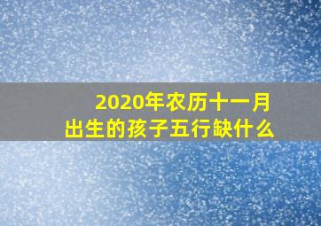 2020年农历十一月出生的孩子五行缺什么