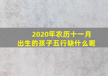 2020年农历十一月出生的孩子五行缺什么呢