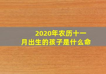 2020年农历十一月出生的孩子是什么命