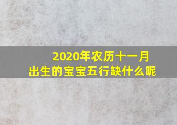 2020年农历十一月出生的宝宝五行缺什么呢