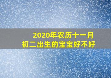 2020年农历十一月初二出生的宝宝好不好