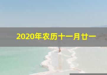 2020年农历十一月廿一