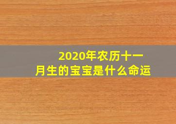 2020年农历十一月生的宝宝是什么命运