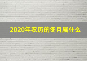 2020年农历的冬月属什么