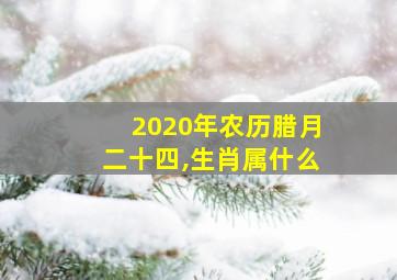 2020年农历腊月二十四,生肖属什么