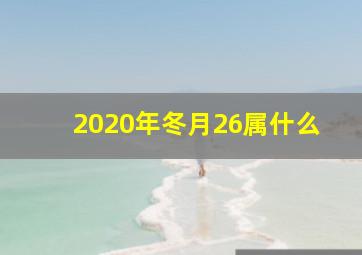 2020年冬月26属什么