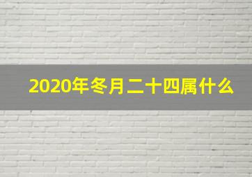 2020年冬月二十四属什么