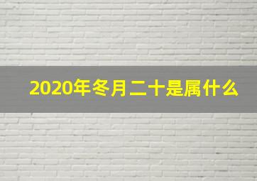 2020年冬月二十是属什么