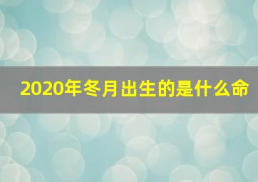 2020年冬月出生的是什么命