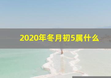 2020年冬月初5属什么