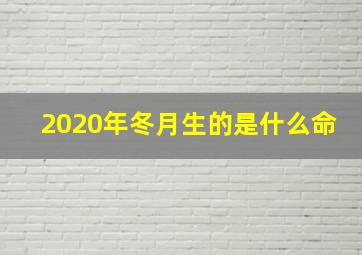 2020年冬月生的是什么命