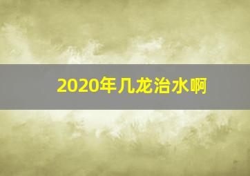 2020年几龙治水啊