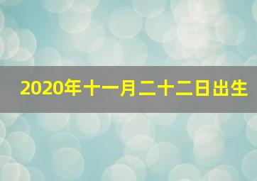 2020年十一月二十二日出生