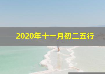 2020年十一月初二五行