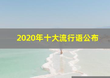 2020年十大流行语公布