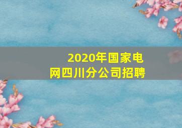 2020年国家电网四川分公司招聘