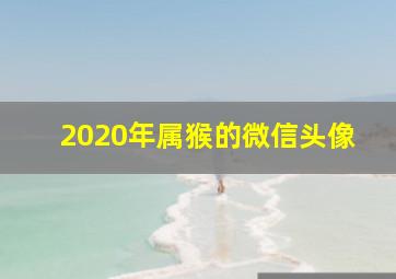 2020年属猴的微信头像