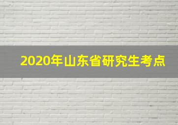 2020年山东省研究生考点