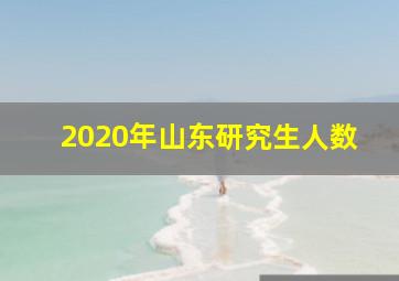 2020年山东研究生人数