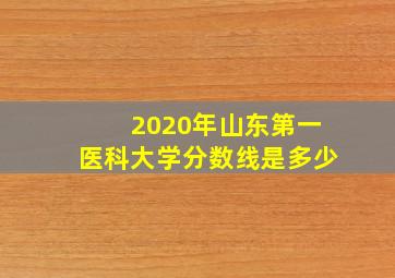 2020年山东第一医科大学分数线是多少