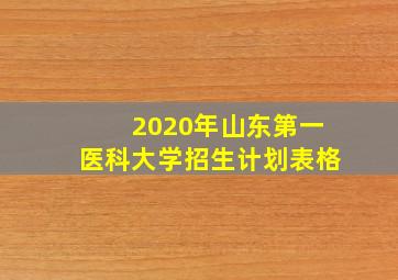 2020年山东第一医科大学招生计划表格