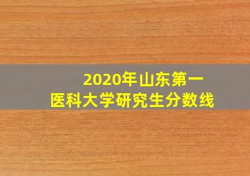 2020年山东第一医科大学研究生分数线