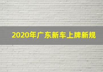 2020年广东新车上牌新规