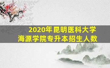 2020年昆明医科大学海源学院专升本招生人数