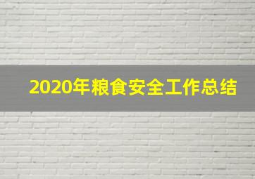 2020年粮食安全工作总结