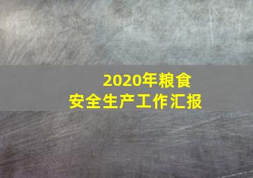 2020年粮食安全生产工作汇报