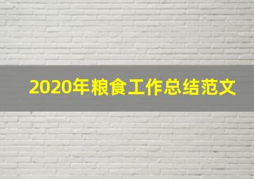 2020年粮食工作总结范文