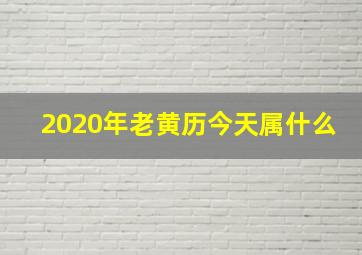 2020年老黄历今天属什么