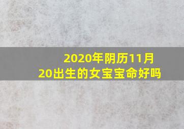 2020年阴历11月20出生的女宝宝命好吗