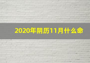 2020年阴历11月什么命