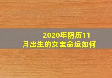 2020年阴历11月出生的女宝命运如何