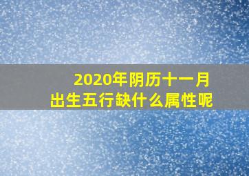 2020年阴历十一月出生五行缺什么属性呢