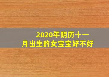 2020年阴历十一月出生的女宝宝好不好