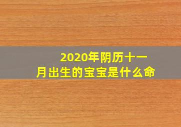 2020年阴历十一月出生的宝宝是什么命